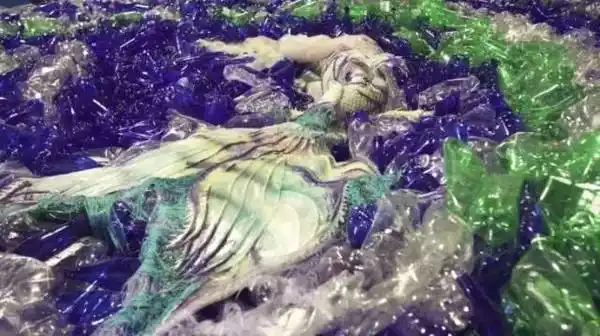 他用10000个破旧废塑料瓶,拍出美到窒息的美人鱼,只为唤起人们对海洋