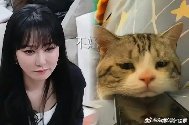 萨顶顶cos喵星人表情包##萨顶顶喵星人本喵