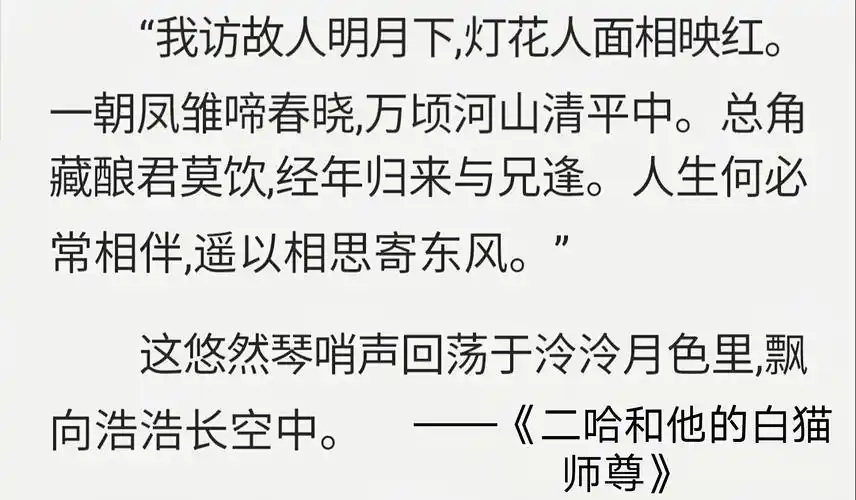 原耽语录图片版