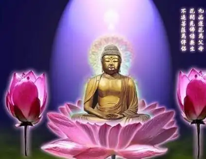 什么闻名词语 闻名见佛愿什么意思?如何解释?