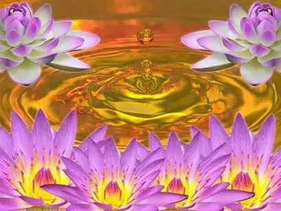 假使众生欲心都尽,必同极乐世界莲花化生.图片来源:资料图片