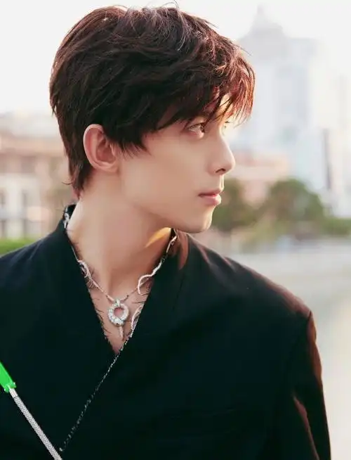 三位最帅的男明星(这3位男明星的长相)(27)