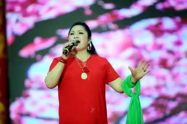 著名歌手雷真应邀在新疆阿克苏温宿古城旅游日演唱两首歌