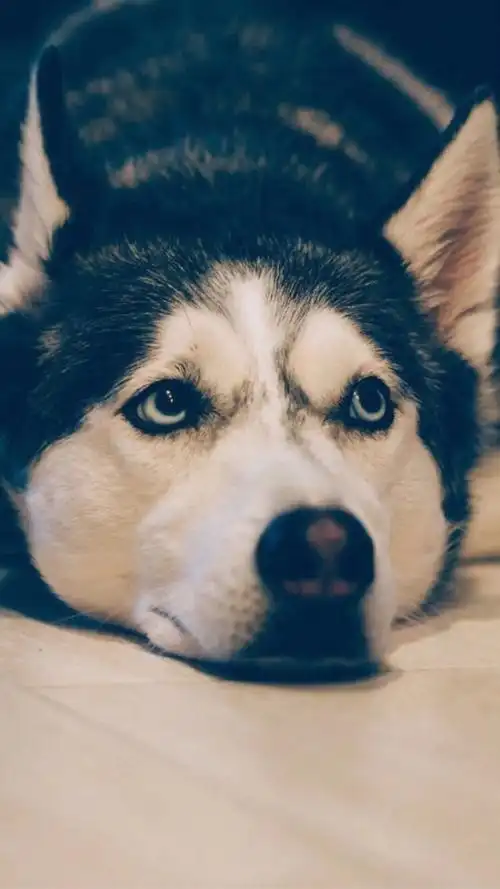 1080_1920竖版 竖屏