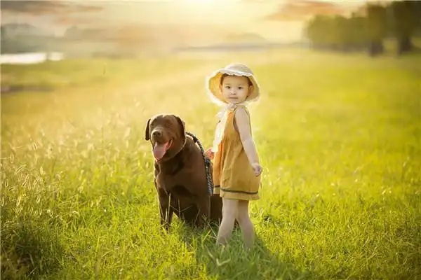 温暖人心的笑容