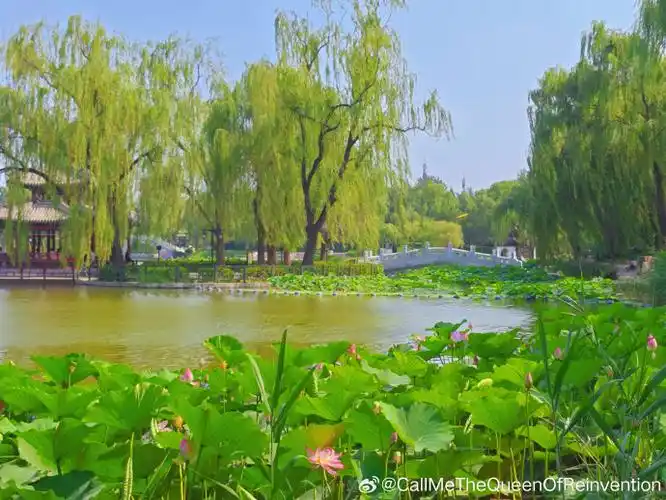 北京旅游##北京旅游攻略##陶然亭公园##北京旅游记##北京周末去哪玩