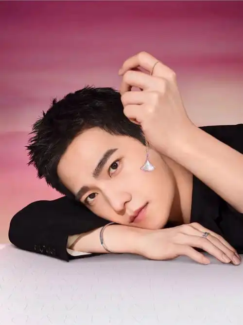 宝格丽品牌代言人杨洋