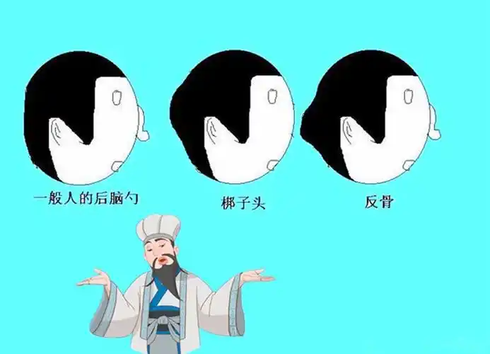 后脑勺长反骨的人命运 人,脑袋后面长反骨怎么