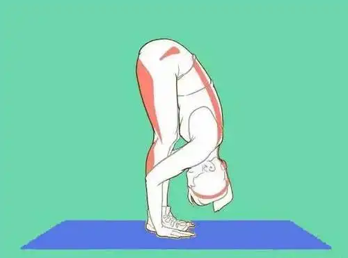 常做这8个小动作,一周长高1.5cm!