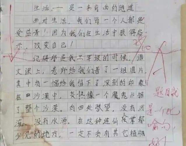 看看坤哥小时候写的作文