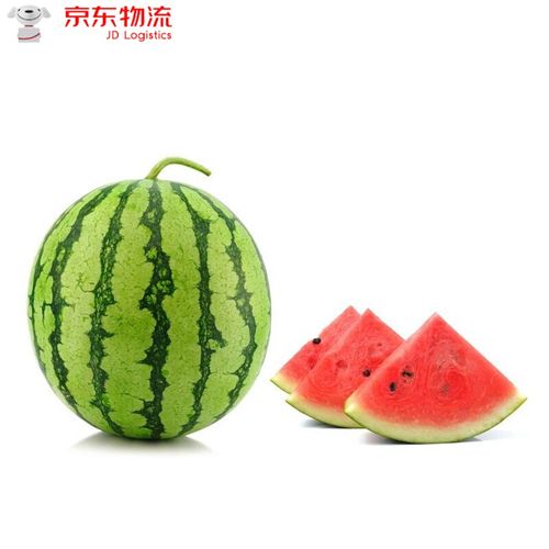 西瓜富硒美都麒麟西瓜超甜5斤新鲜大西瓜夏天生鲜团建活动商务送礼 1