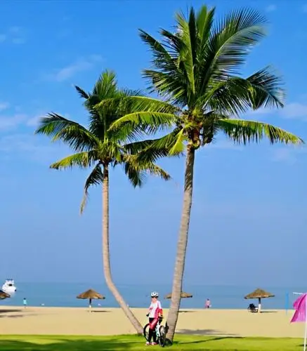 三亚南滨越冬记