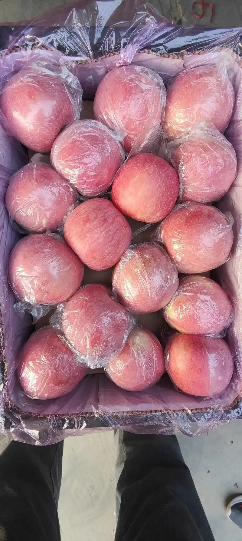 十大吉祥水果 苹果96酸甜清香/清爽解腻  - 抖音