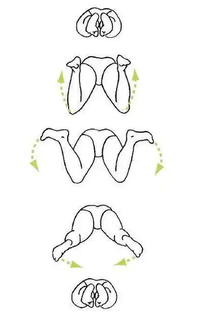 蛙泳简笔画步骤简笔画教程学会蛙泳的简笔画动作学蛙泳的简笔画小女孩