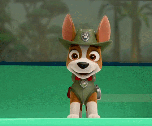 【儿童剧】| 《汪汪队立大功-海盗的宝藏》全国巡演火热开启,你们准备