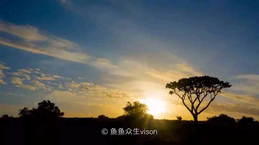 背景 壁纸 风景 天空 桌面 720_1080 竖版 竖屏 手机_风景520