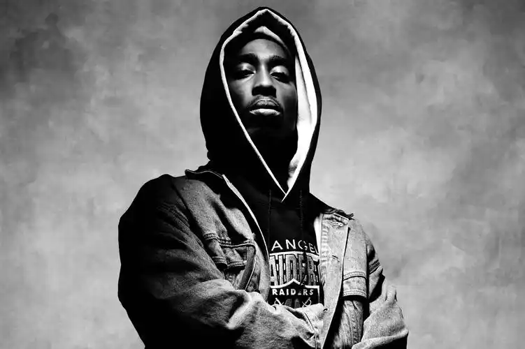 7500万的全球唱片销量纪录,使他成为有史以来最畅销的嘻哈音乐艺术家