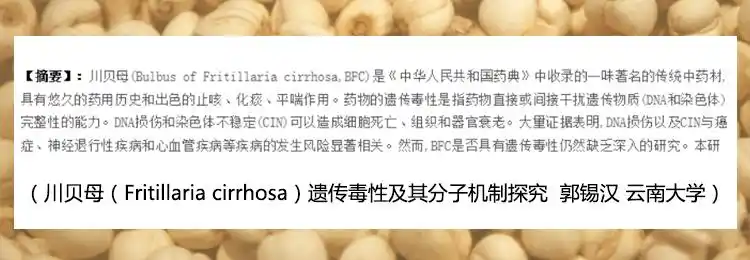 秋季提醒这一中药止咳虽有效但更需警惕毒副作用