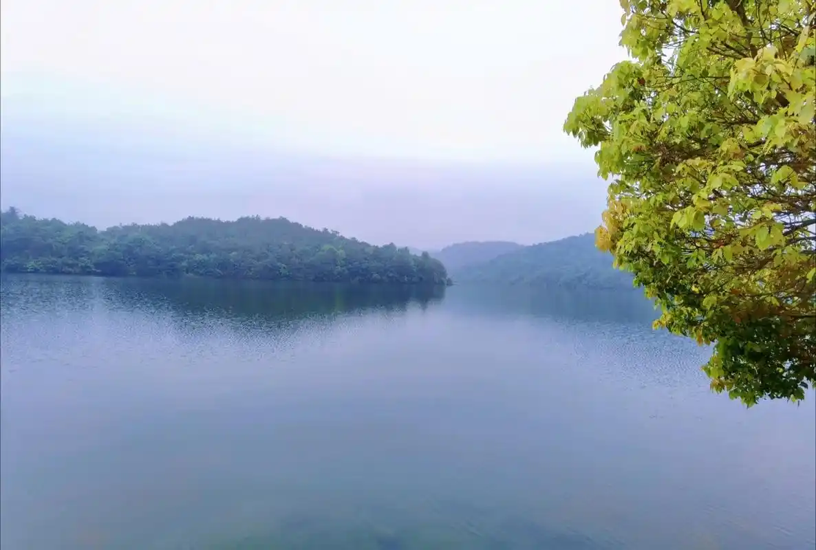绝美古诗文|唯美古风|山水烟雨意境文案 78策策桐叶风,蒙蒙菊花雨.