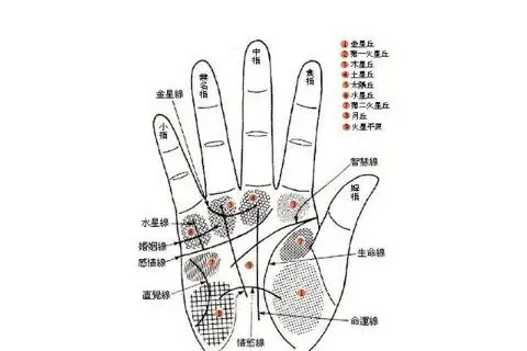 这是属于一个很吉利的手相,他们富有很强的经济头脑,善于经商,头脑