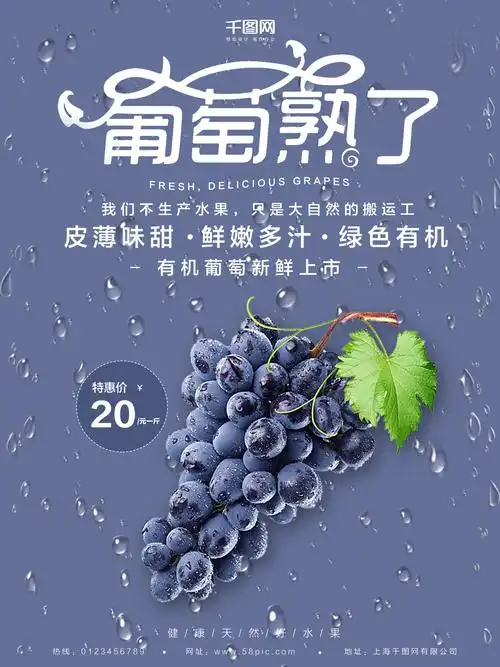 农产品海报素材 -免费农产品海报素材图片 -设计素材 -图怪兽