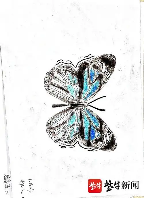 惊艳!这些初中生设计的"轴对称图形"美出新高度