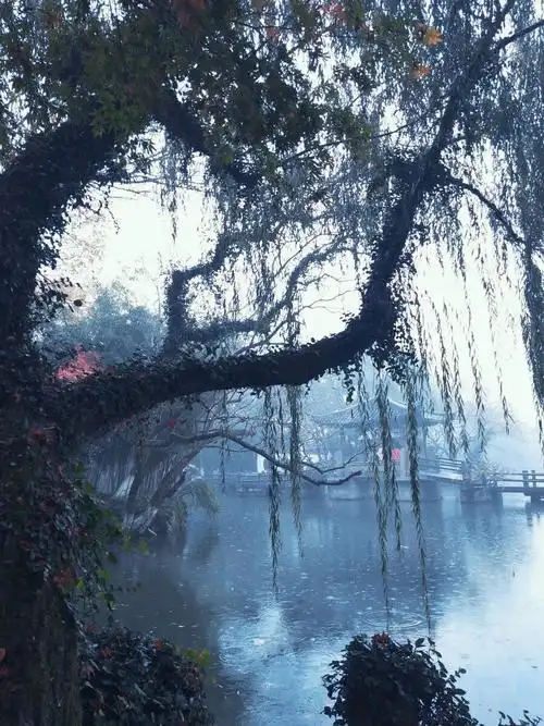 烟雨江南 - 拾柒一诺 - 图虫