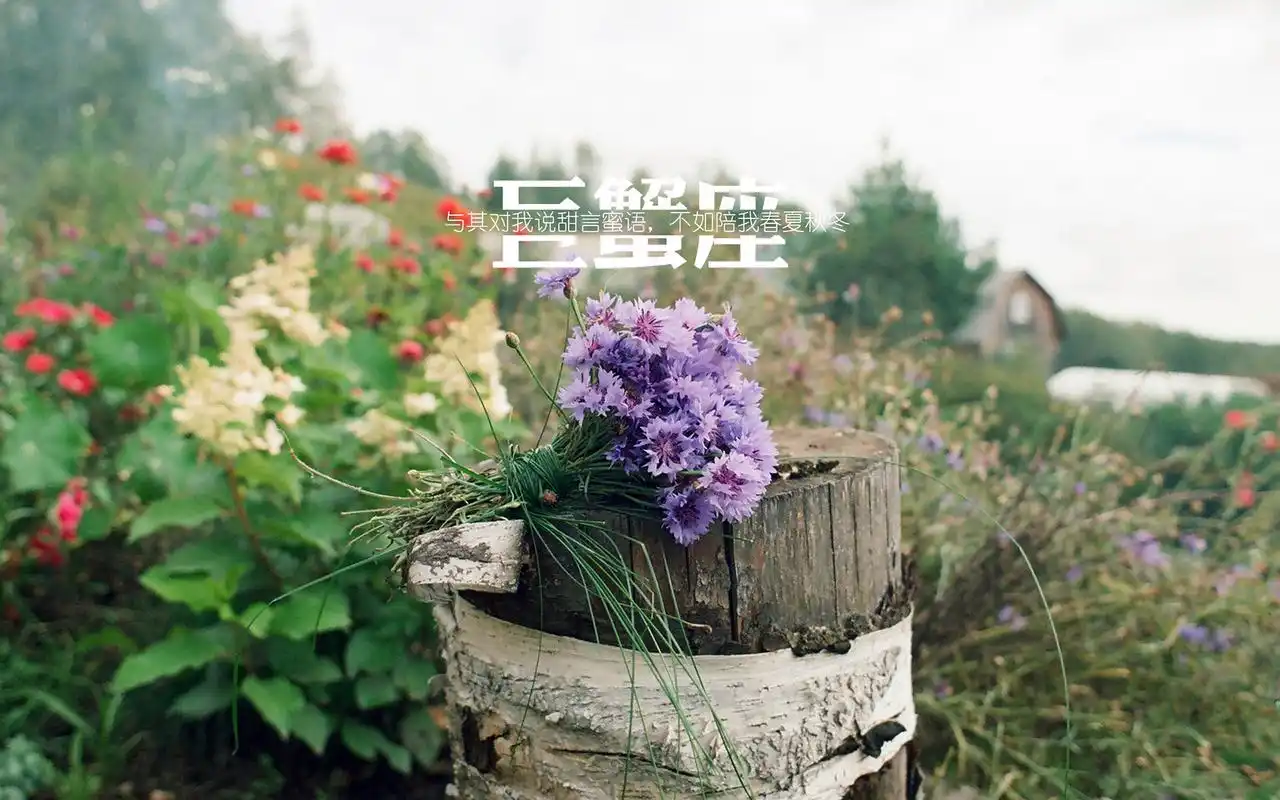 巨蟹座简约文字唯美小清新桌面壁纸