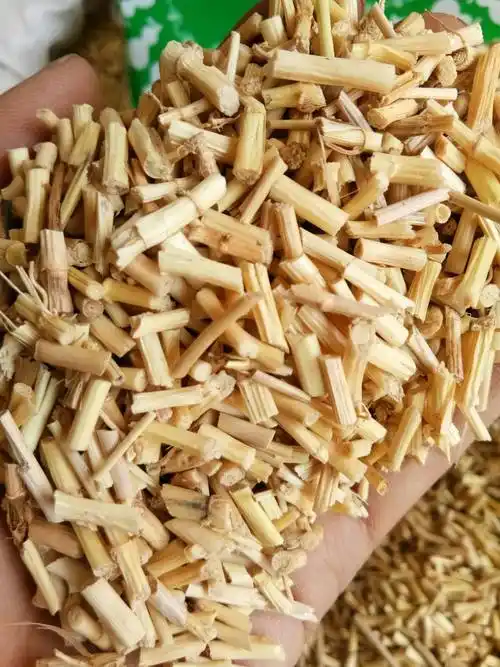 白茅根(白茅根煮水的功效与作用)