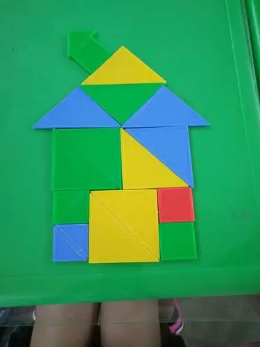 大班幼儿科学活动《有趣的拼图》