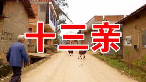 迟志强一首十三不亲70后80后都爱听