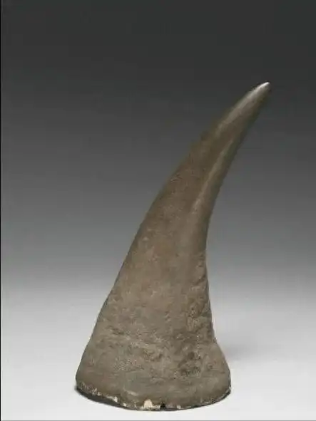 犀牛角,清热解毒,凉血定惊