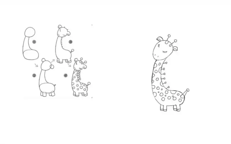 零基础小白练简笔画【打卡记录5】:小鹿2