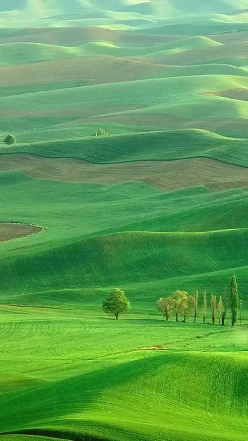 清新唯美自然美景手机壁纸
