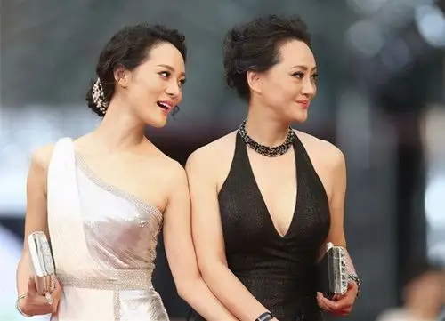 46岁的时候生下儿子张楚楚等,今天我们就来聊聊宋佳的故事