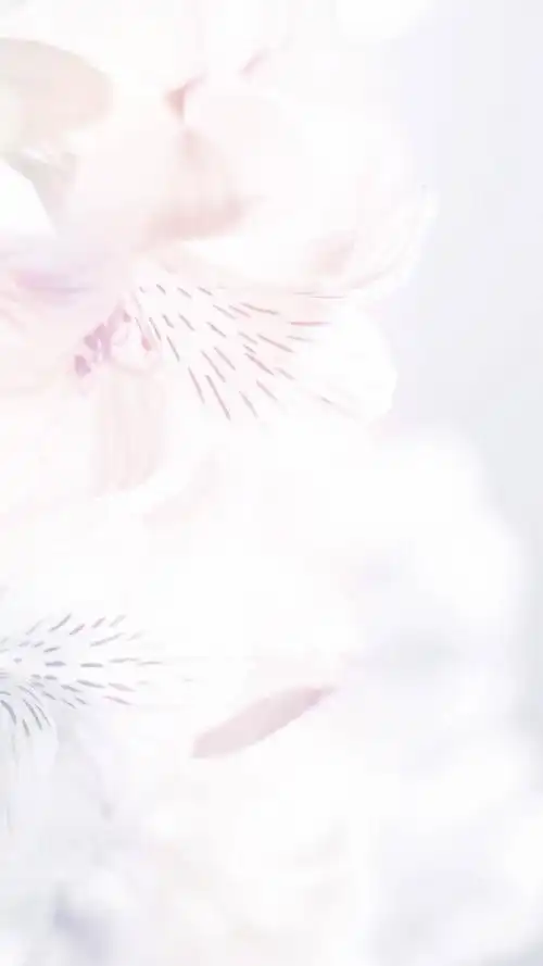 白色纹理背景,高清图片,手机锁屏桌面-壁纸族