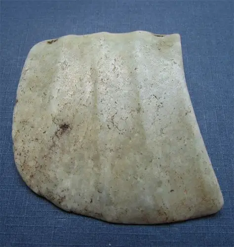 红山文化 论坛 - 任南红山文化官网 - powered by discuz!