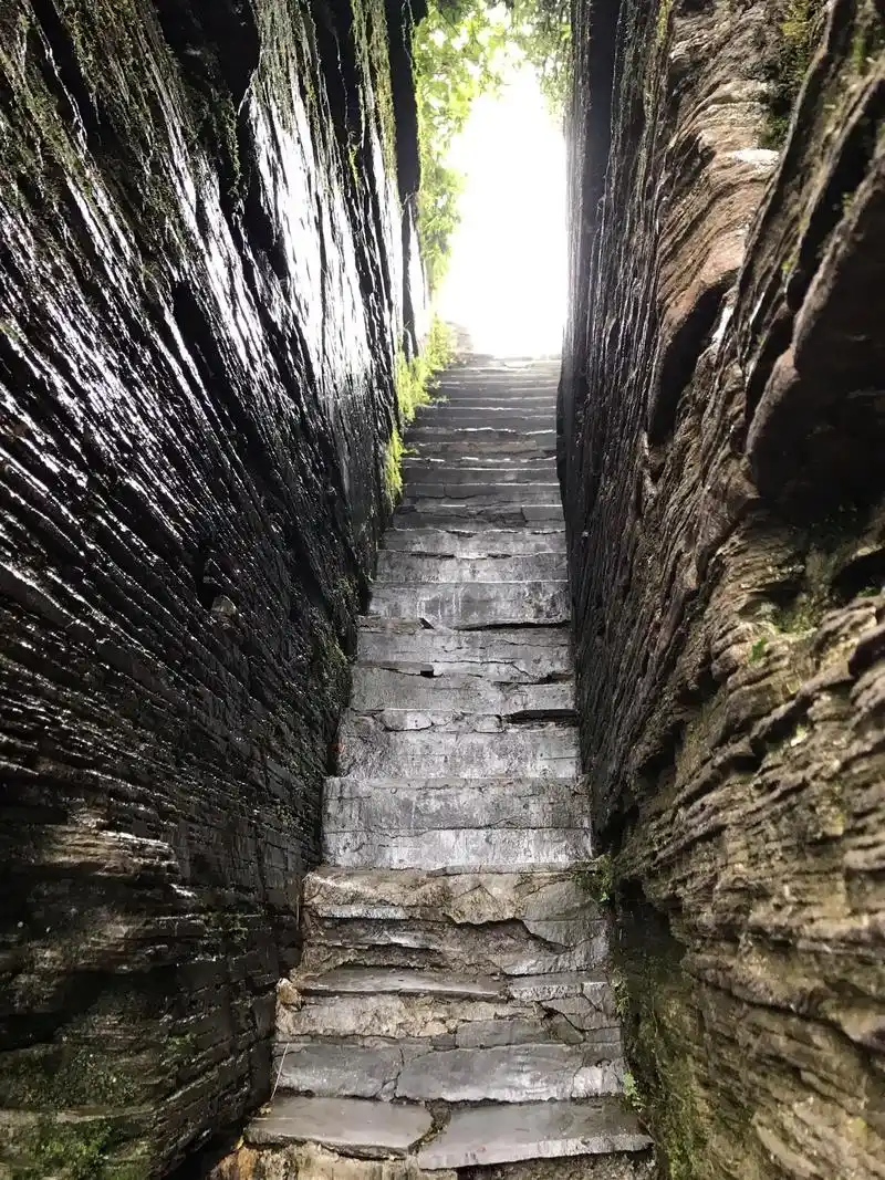 梵净山位于贵州省铜仁市,主峰凤凰山海拔2572米,老 - 抖音