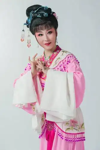 越剧春晚十大流派十二朵梅如果你来选你最想看谁