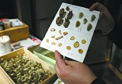 制作毛猴的材料都是中草药,就连粘东西的胶也是用白芨碾粉后熬制而成