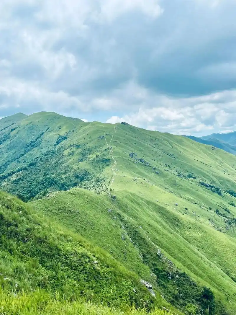 山",高山草甸太美啦99香港鸡公岭 四个小时即可完成的高山草甸美景