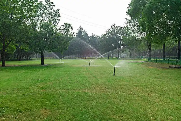 草地喷水图片_草地喷水高清图片_全景视觉