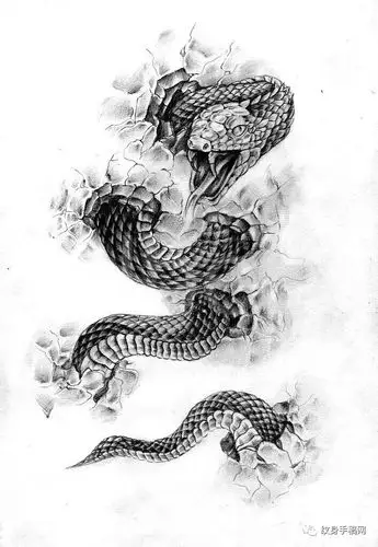 蛇手稿纹身大集合150张1