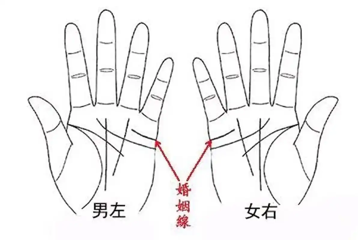 容易生病,这样手相的人,在婚后生活常常处于弱势的那一方,而且要注意