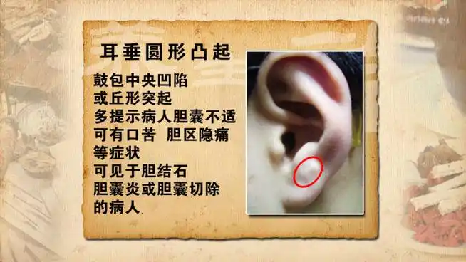 《西为中用巧辨病 》1-3