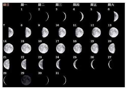 从一朵花到一弯月在你家厨房就能拍出来的创意