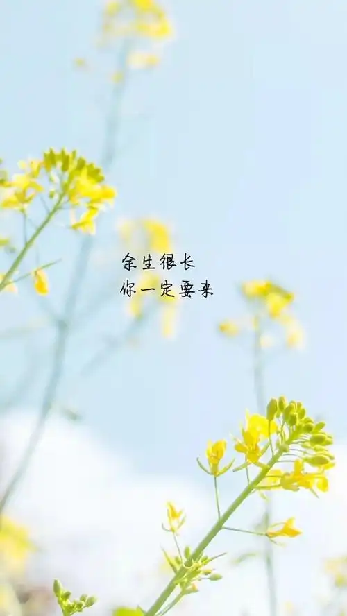 简约图文高清手机壁纸图片,唯美,风景,简约,文字,个性,锁屏,手机壁纸