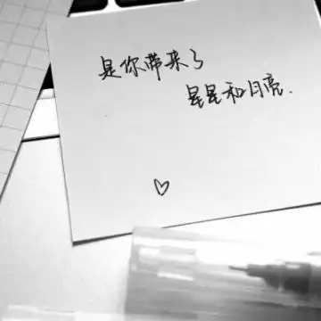 2020纯文字微信头像个性霸气被偏爱才有资格做小孩子