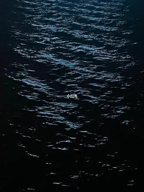 周末夜晚萧瑟的海