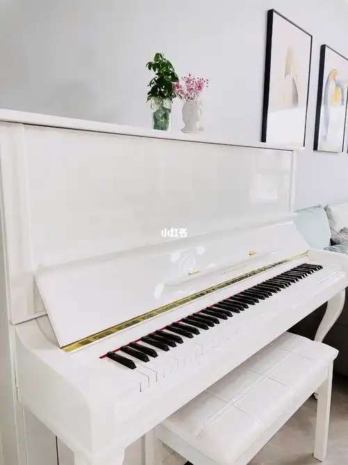 白色钢琴